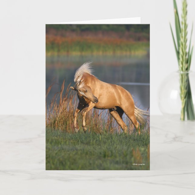 Tarjeta Bob Langrish | Palomino Lusitano Stallion Bucking (Anverso)