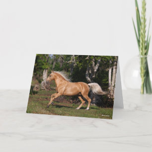 Tarjeta Bob Langrish   Palomino Lusitano Stallion Running