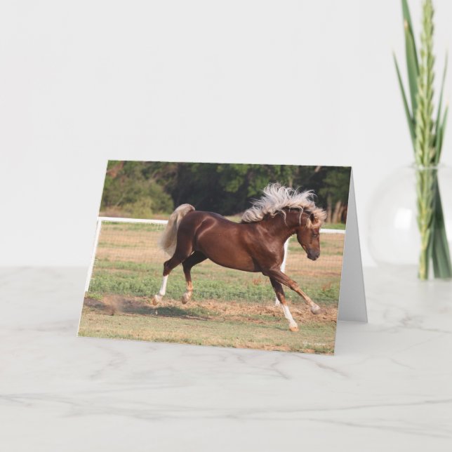 Tarjeta Bob Langrish | Palomino Morgan Horse Bucking (Anverso)