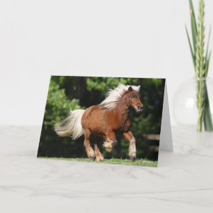 Tarjeta Bob Langrish   Palomino Pony Running