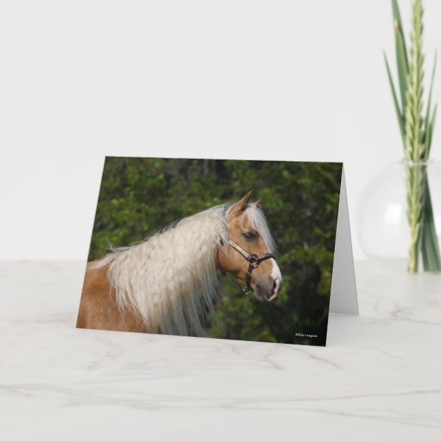 Tarjeta Bob Langrish | Palomino Quarter Cabeza de Caballo (Anverso)