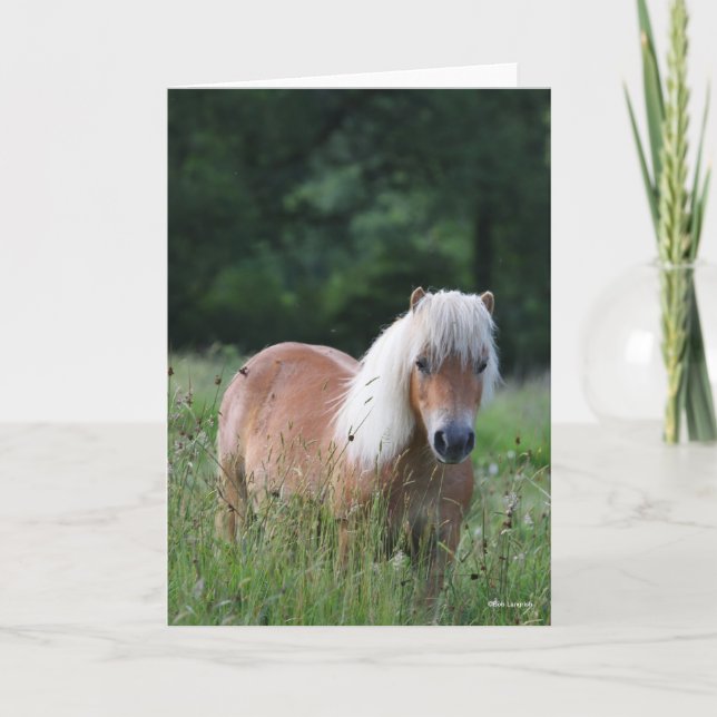 Tarjeta Bob Langrish | Palomino Shetland De Pie (Anverso)