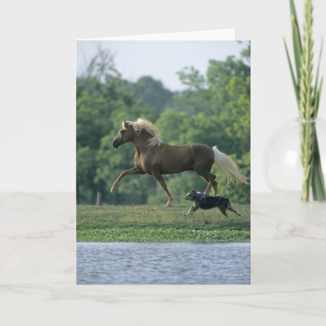 Tarjeta Bob Langrish | Palomino Tennessee Walker y Perro (Anverso)