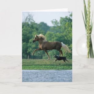 Tarjeta Bob Langrish   Palomino Tennessee Walker y Perro