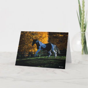 Tarjeta Bob Langrish   Pintar caballo en otoño