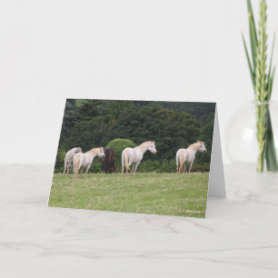 Tarjeta Bob Langrish Ponies Galeses En Pie