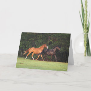 Tarjeta Bob Langrish   Pony Alemán Y Oldenburg