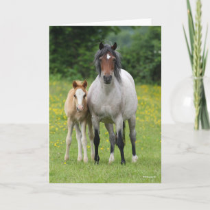 Tarjeta Bob Langrish   Pony Mare galés y pie de templos