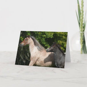 Tarjeta Bob Langrish   Pony Mare galesa y Foot Headshot