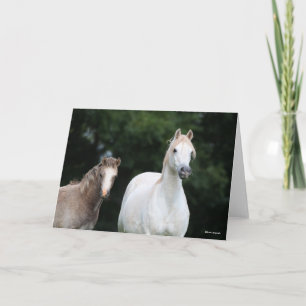 Tarjeta Bob Langrish   Pony Mare y Foal galeses