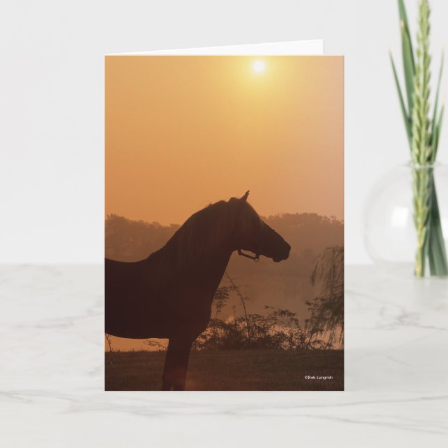 Tarjeta Bob Langrish | Silhouette de caballos de Montaña R (Anverso)