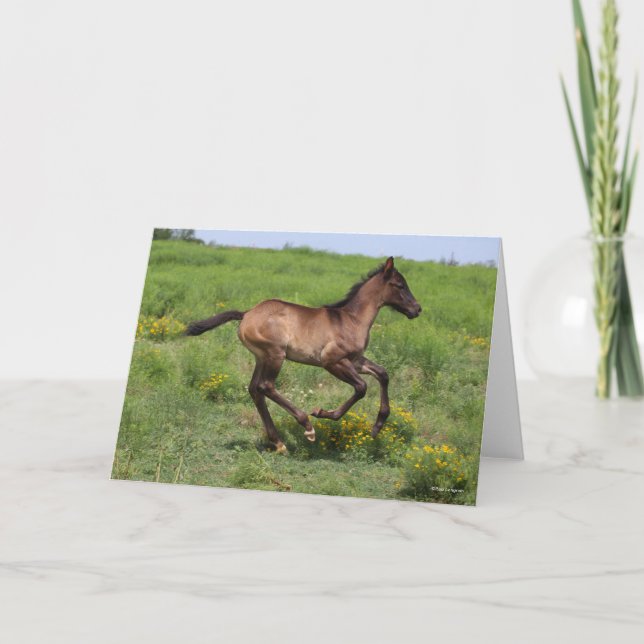 Tarjeta Bob Langrish | Trimestre de carreras de caballos (Anverso)