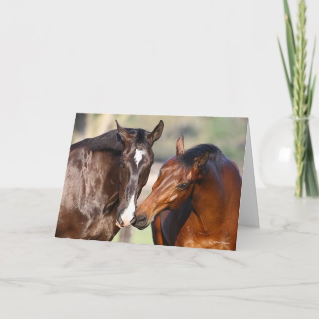 Tarjeta Bob Langrish | Two Canadian Sport Horses Meeting (Anverso)