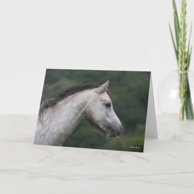 Tarjeta Bob Langrish | Welsh Section A Pony Headshot (Anverso)