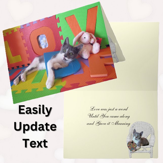 Tarjeta Bob The Cat's Purrfect Words Valentine Card (Subido por el creador)