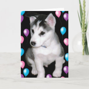 Tarjeta Bob y globos