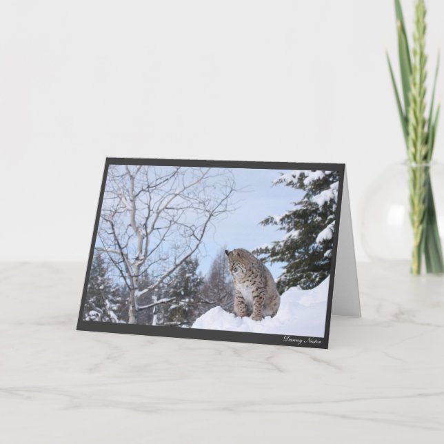 Tarjeta Bobcat (Anverso)