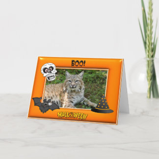 Tarjeta Bobcat Halloween Card Fancy
