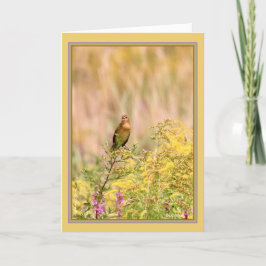 Tarjeta Bobolink macho hembra/no reproductora
