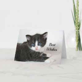 Tarjeta Boda de felicitaciones a Black White Kitten