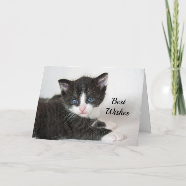 Tarjeta Boda de felicitaciones a Black White Kitten (Anverso)
