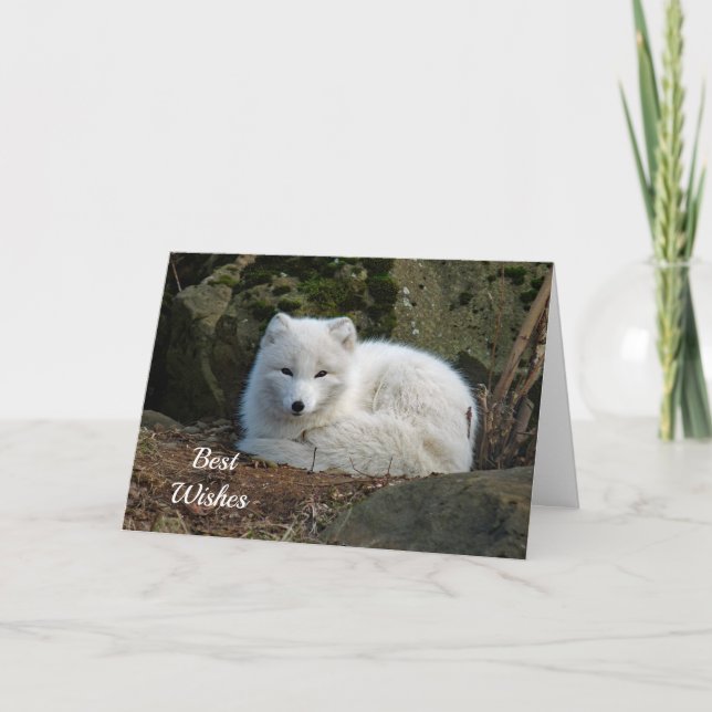 Tarjeta Boda de felicitaciones a White Fox Photo (Anverso)