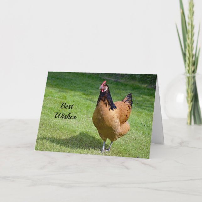 Tarjeta Boda de felicitaciones para pollo 3 (Anverso)