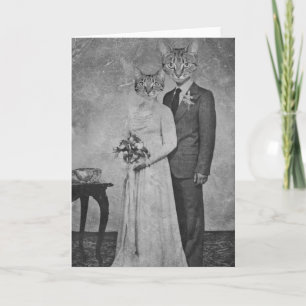 Tarjeta Boda de gatos