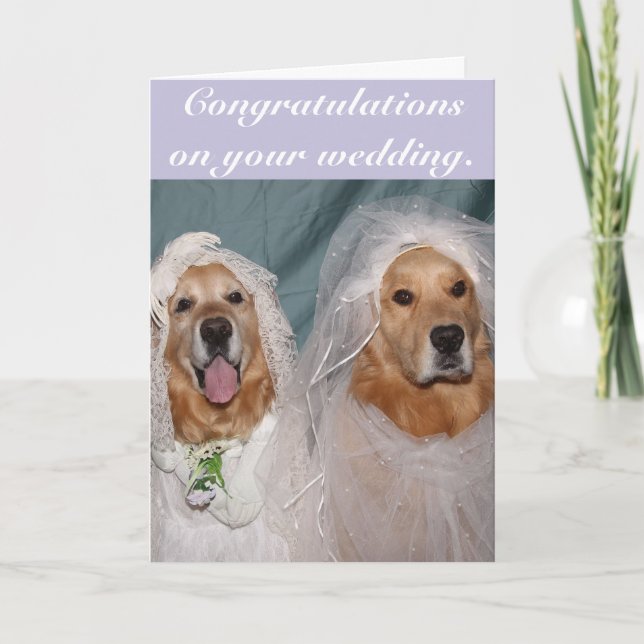 Tarjeta Boda de Novias Lesbianas de Golden Retriever (Anverso)