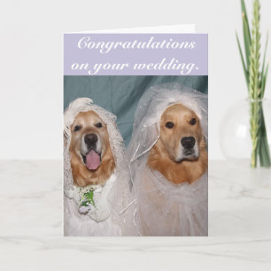 Tarjeta Boda de Novias Lesbianas de Golden Retriever