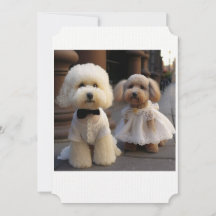 Tarjeta Boda Dog Lover