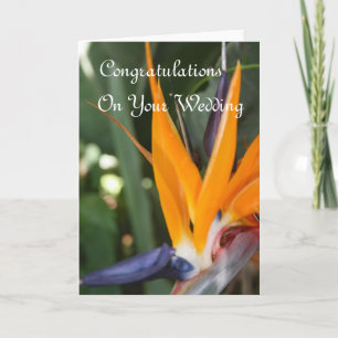 Tarjeta Boda Felicita A Bird Of Paradise