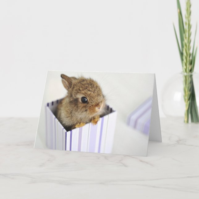 Tarjeta ¡Bollo en la caja! (Anverso)