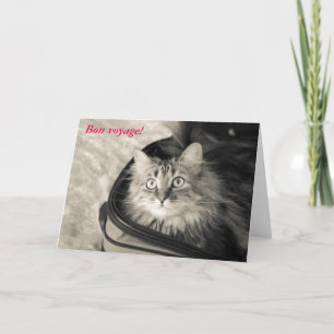 Tarjeta Bon voyage con gato.