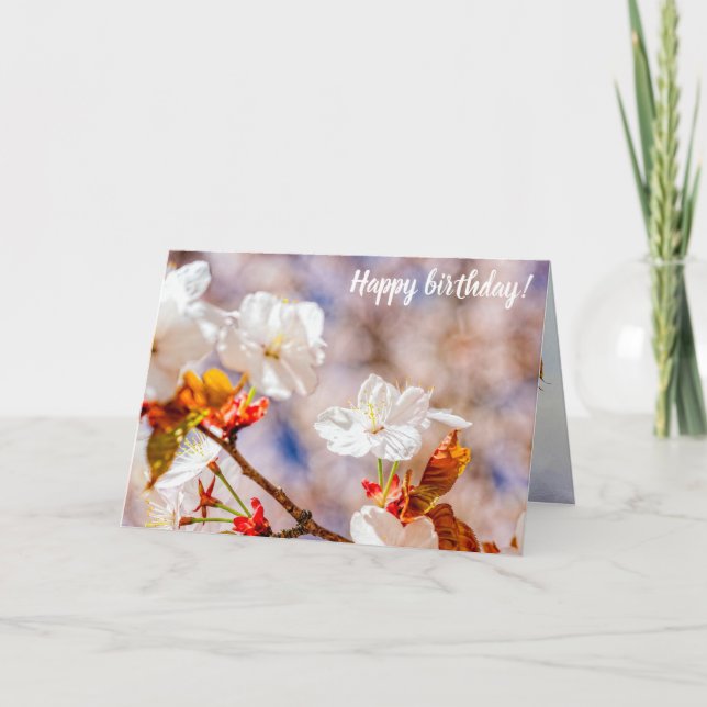 Tarjeta Bonita Flor De Sakura En Un Soleado Día De Primave (Anverso)