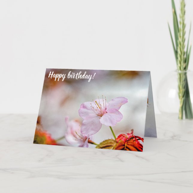 Tarjeta Bonita Flor De Sakura Rosa En Primavera (Anverso)