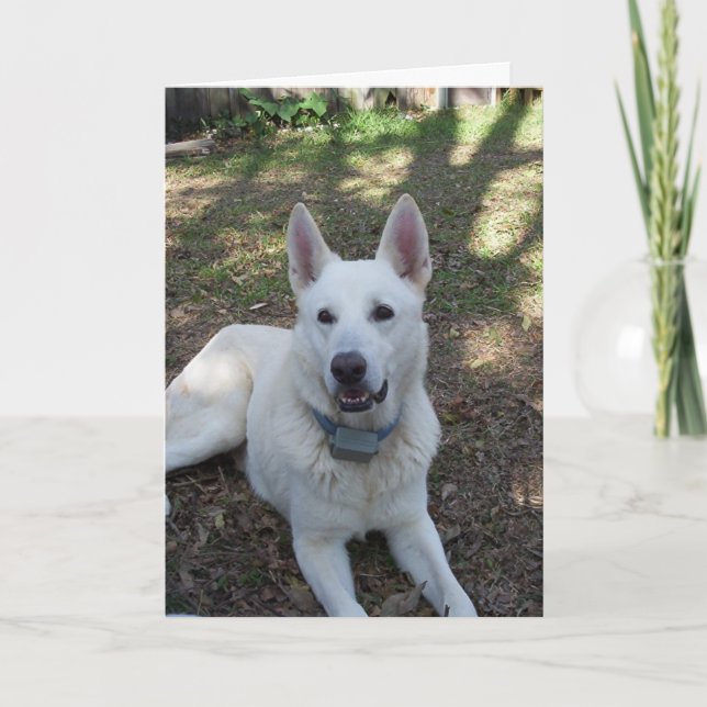 Tarjeta bonito (Anverso)