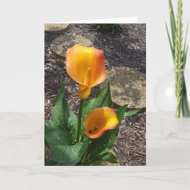 Tarjeta Bonito Amarillo Floral Blank (Anverso)