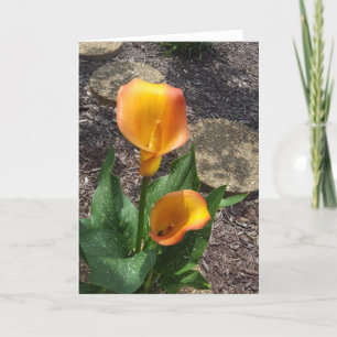 Tarjeta Bonito Amarillo Floral Blank