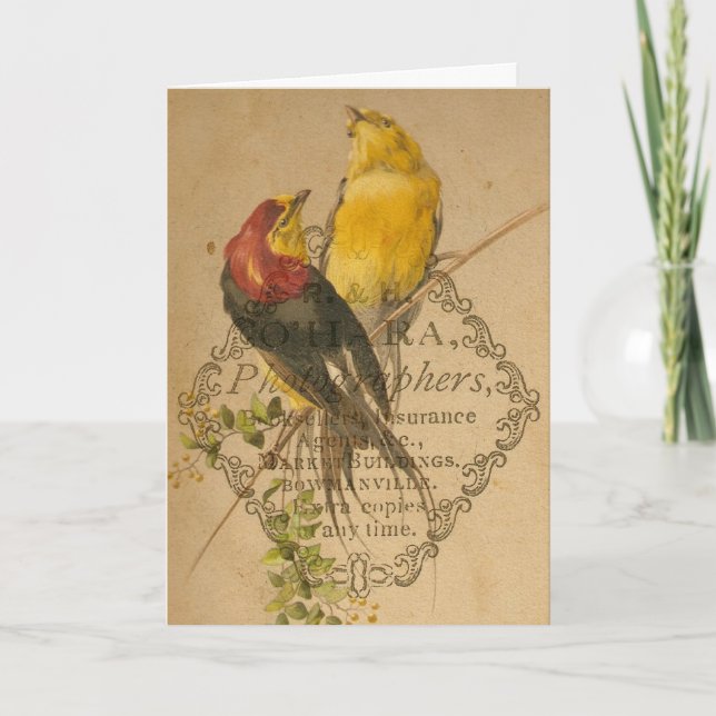 Tarjeta Bonito Aves Vintage (Anverso)