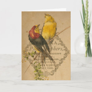 Tarjeta Bonito Aves Vintage