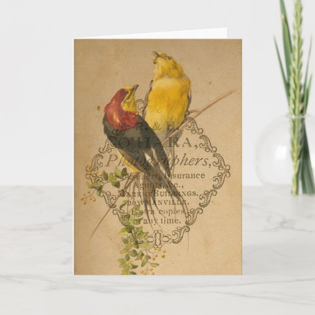 Tarjeta Bonito Aves Vintage (Anverso)