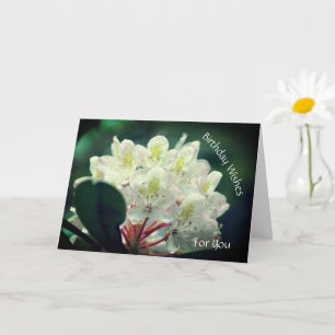 Tarjeta Bonito Azalea Flower Cumpleaños Personalizado