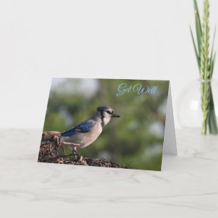 Tarjeta Bonito Azul Jay Bird