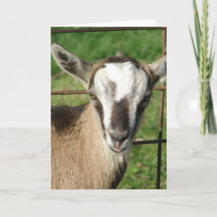 Tarjeta Bonito Billy Kid