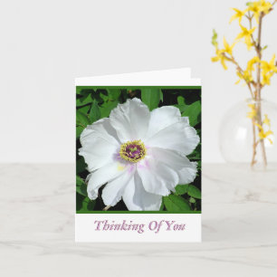 Tarjeta Bonito Blanca Peony/Pensando En Ti / Blanqueado De