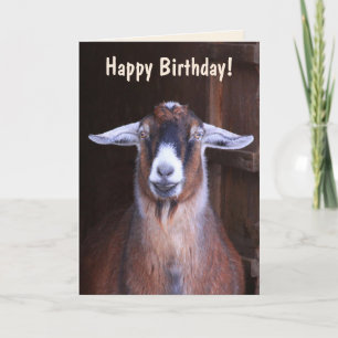 Tarjeta Bonito cumpleaños de cabra