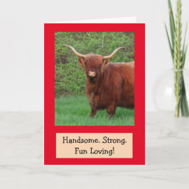 Tarjeta Bonito cumpleaños de Highland Steer