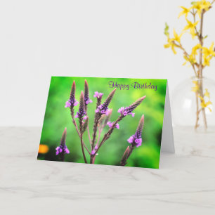 Tarjeta Bonito cumpleaños salvaje de la flor de Vervain