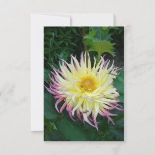 Tarjeta Bonito Dahlia Flower